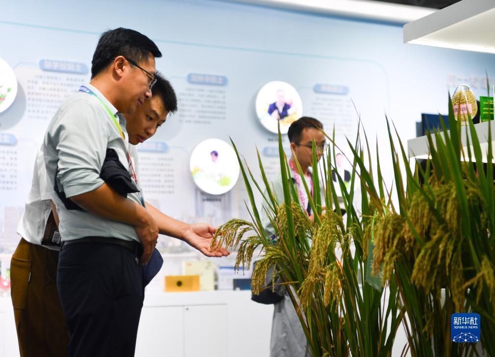 百老汇游戏app